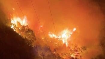 Alanya'da korkutan orman yangını