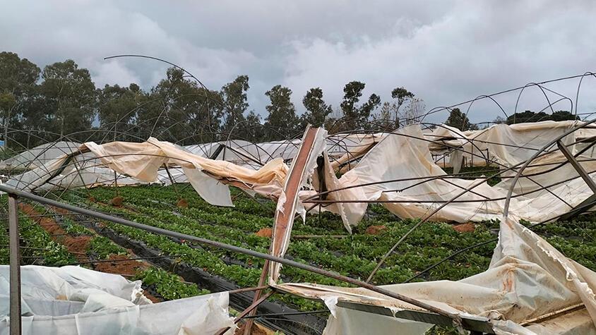 Antalya'da sağanak sonrası hortum felaketi: Zarar çok büyük