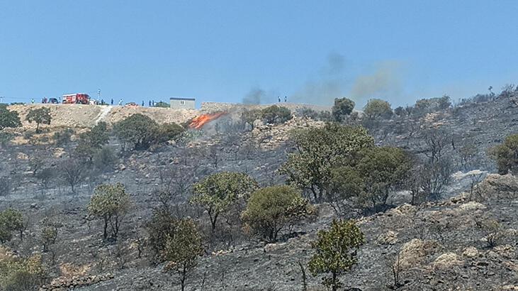 Bodrum'da makilik yangını! 1 saatte kontrol altına alındı