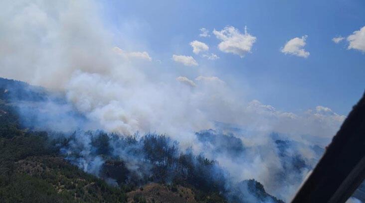 Çanakkale'de orman yangını