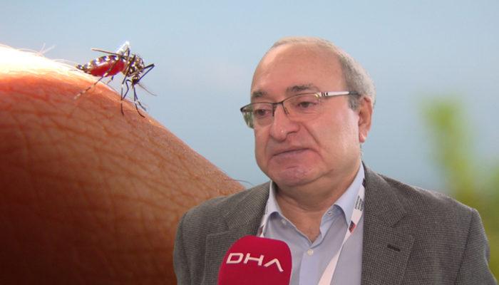 "Dünyanın en tehlikeli hayvanı" diyerek açıkladı! Prof. Dr. Kadıoğlu: Sayıları artıyor