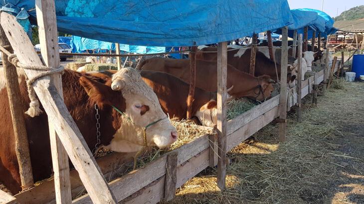 ESK'dan elde kalan kurbanlıklarla ilgili açıklama