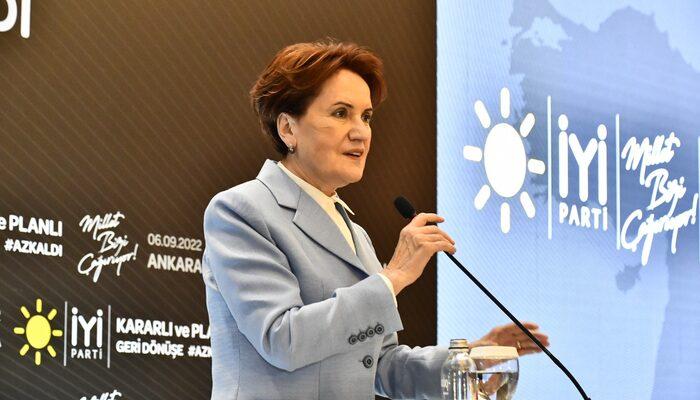 Meral Akşener'den çok konuşulacak sözler: '2026'da tüm Suriyelileri memleketlerine kavuşturmuş olacağız'