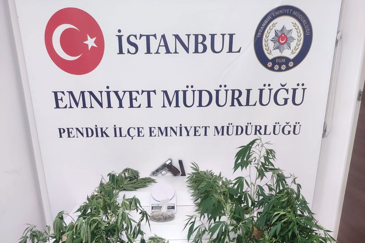 Pendik'te binanın çatı katını uyuşturucu serasına çeviren kardeşler yakalandı