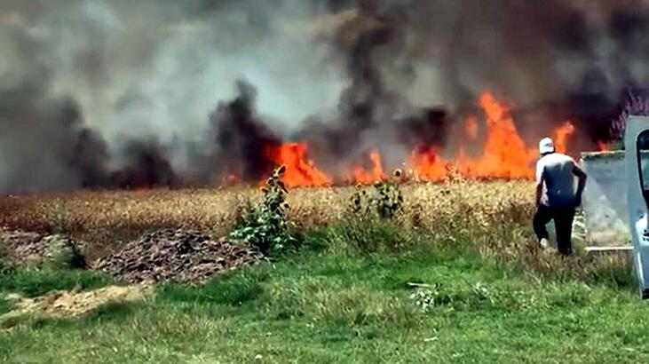 Tekirdağ'da 50 dönüm buğday tarlası yandı