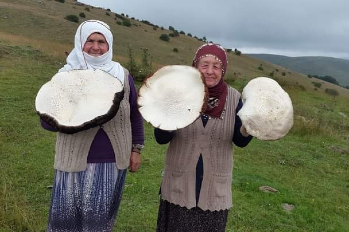 Yaylada gezerken buldu, görenler gözlerine inanamadı