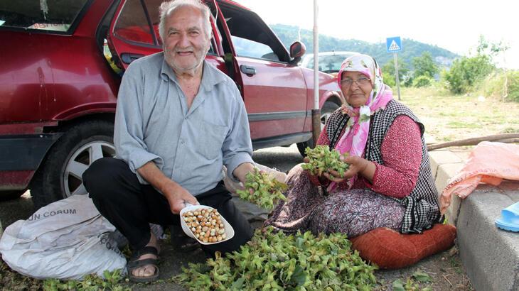 Yeni sezon fındığı yol kenarlarında satışa çıktı